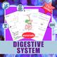 Digestive System Mechanical Chemical Digestion Role Of Enzymes