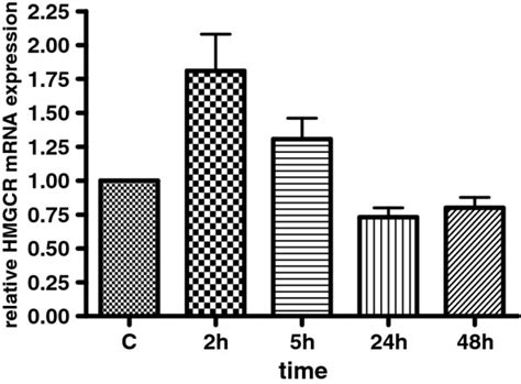 HMGCR MRNA Levels In Vitro The Effect Of Testosterone Enanthate On