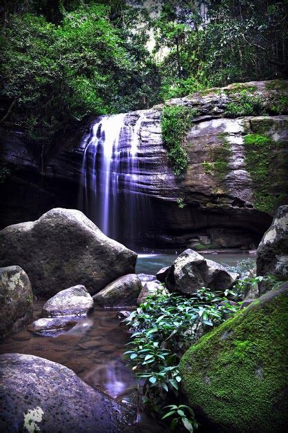 Serenity Falls Is Located In Buderim On The Sunshine Coast Queensland