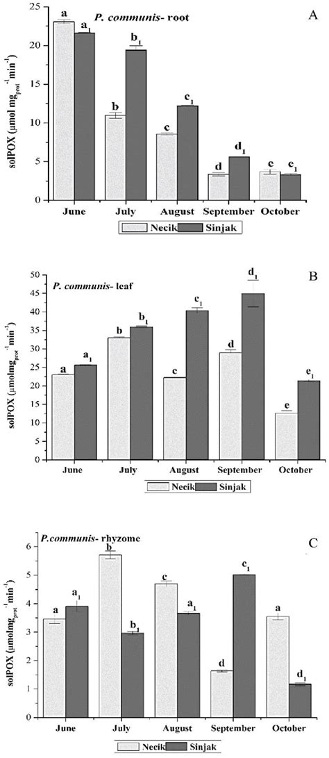 The Change In The Activities Of SolPOX Mmol 1 Mg Prot 1 Min 1 In