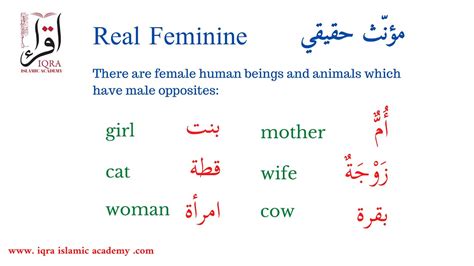 Lesson Identify Feminine Nouns In Arabic Muannas Learn Arabic The