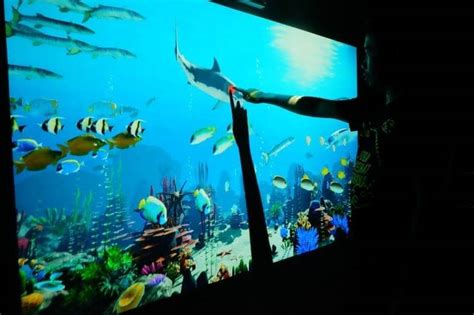 Aquarium Taman Pintar Homecare24