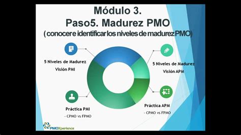 Matriz De Madurez