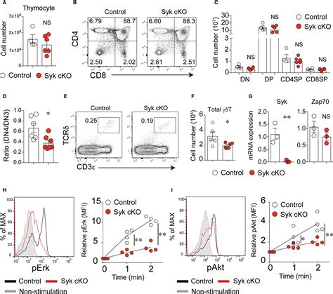 Frontiers Spleen Tyrosine Kinase Mediates The Tcr Signaling