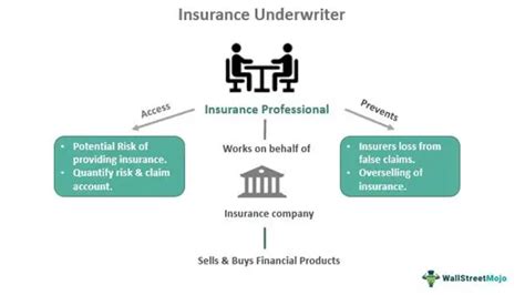 Insurance Underwriter What Is It Role Types Example