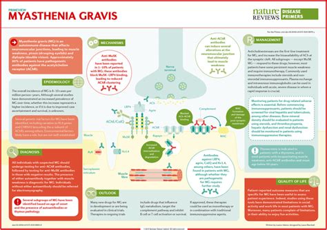 Myasthenia Gravis Nature Reviews Disease Primers X Mol