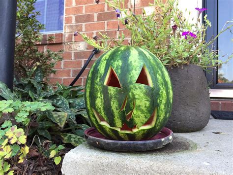 Goth Gardening ^o^: ... watermelon Jack-o-lantern for Goth It Yourself ...