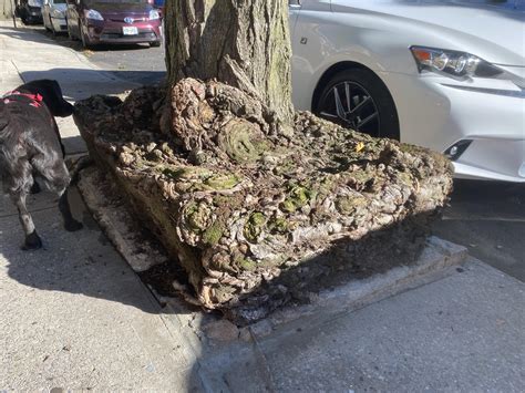 Old Root Porn R Rootporn