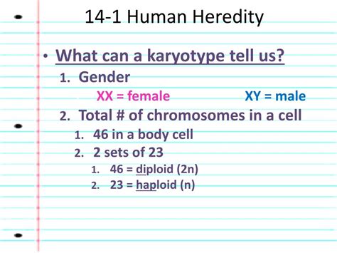 Ppt Chapter 14 Human Genetics Powerpoint Presentation Free Download Id2170927