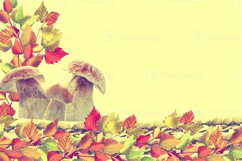 autumn leaves isolated on yellow background. 9847980 Stock Photo at ...