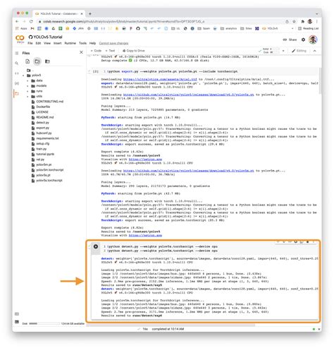 Torchscript Export Success On Yolov S And Bad Results On Yolov M