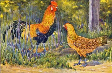 Gallus Painting At PaintingValley Explore Collection Of Gallus