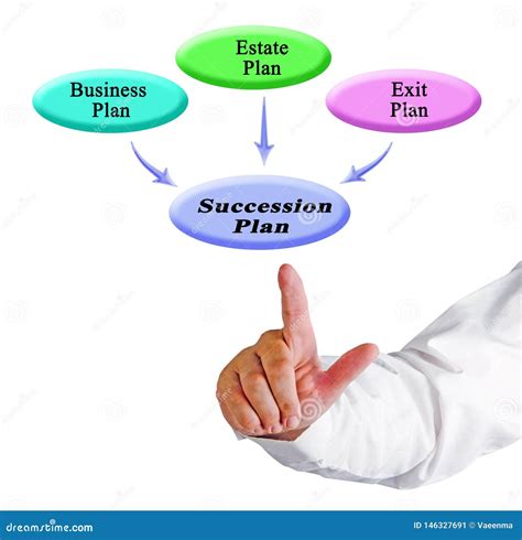 Componentes Del Plan De La Sucesi N Imagen De Archivo Imagen De