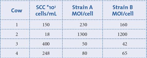 Table 1 From Mastitis Severity Induced By Two Streptococcus Uberis