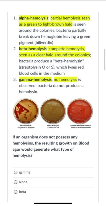 Solved 1. alpha-hemolysis: partial hemolysis seen as a green | Chegg.com