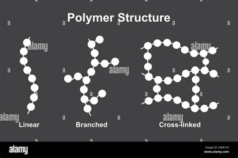 Diseño Científico De La Clasificación De La Estructura Del Polímero