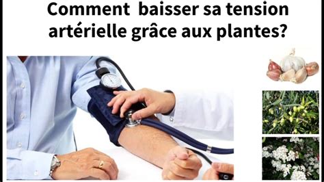 Comment Baisser Sa Tension Art Rielle Avec Les Plantes Youtube