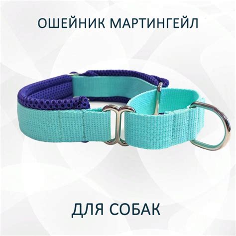 Ошейник для собак мартингейл (полуудавка) Мятно-фиолетовый. XL - купить ...