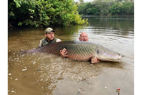 Arapaima Bolivia Sep 2024