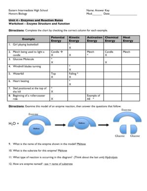 Enzymes And Cellular Regulation Pogil Key Fill And Sign Printable