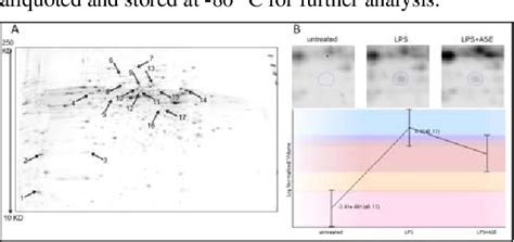 Pdf Quantitative Proteomics Analysis For Effect Of Acanthopanax