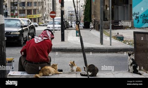 The "Cat Whisperer" of Sweifieh, Amman, Jordan Stock Photo - Alamy