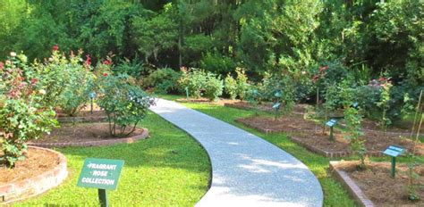 SMS Spotlight: Savannah Botanical Gardens - Georgia History Festival