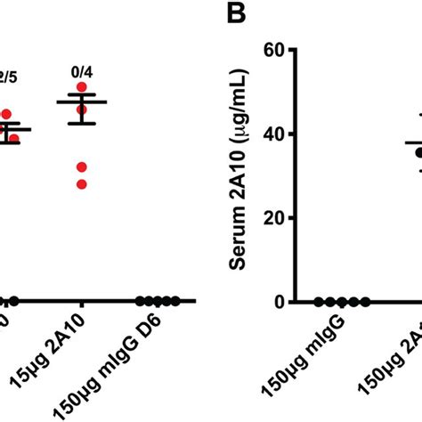 Bioluminescent Imaging Is As Accurate As Qrt Pcr For Assessment Of