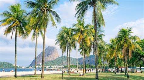 Flamengo Beach in Flamengo - Tours and Activities | Expedia.ca