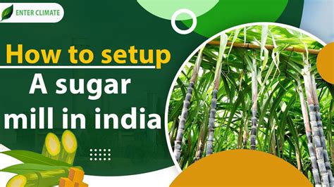 How To Setup A Sugar Mill In India Start A Sugarcane Processing