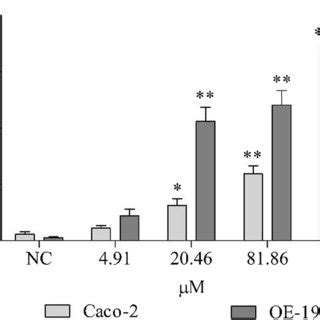 Cell Viability Expressed In Percentage Of Different Concentrations Of