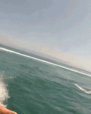 Oops Sex Gifs Porn XXX GIFs PICTOA