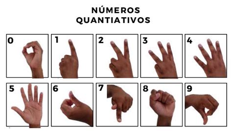 Numeros Em Libras Para Imprimir Conhe A A Emo O Das Apostas A