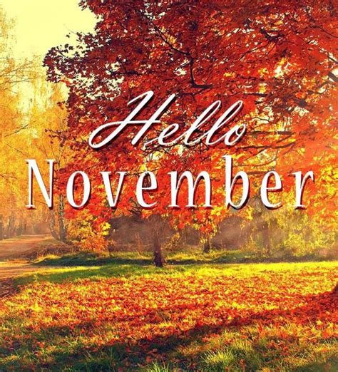 Hello November