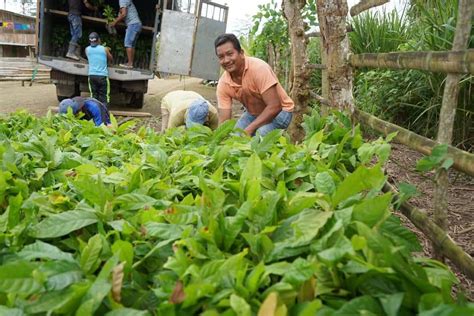 La prefectura entrega plantas para el impulsar el desarrollo económico