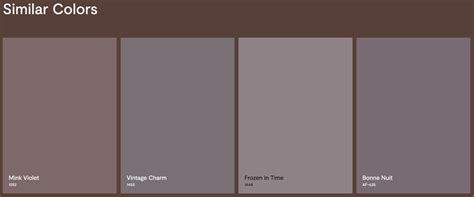 Cinnamon Slate Benjamin Moore S 2025 Color Of The Year The Glam Pad