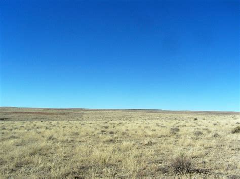 1770 Acres In Clayton Nm 88415 Landwatch