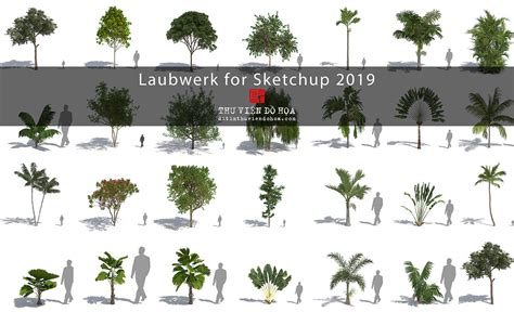 Laubwerk For Sketchup Plugins Sketchup