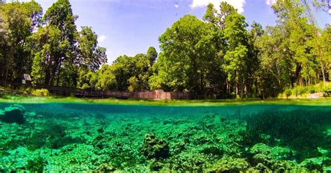 Crystal Springs Preserve, Crystal Springs | Roadtrippers