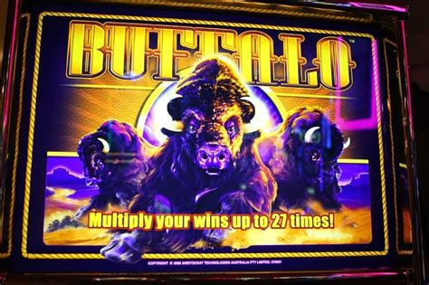 The Story Behind The Buffalo Slots Red Tailed Hawk Vital Vegas