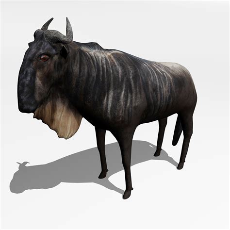 Antelope Gnu 3D | CGTrader