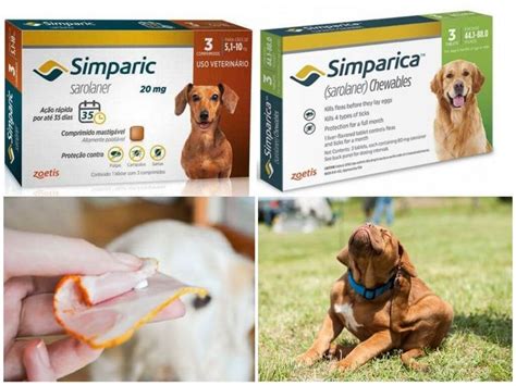 Симпатика таблетки от клещей для собак отзывы: zoetis simparica