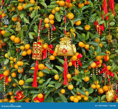 Chinese New Year Decorations And Lucky Symbols Stock Image Image Of