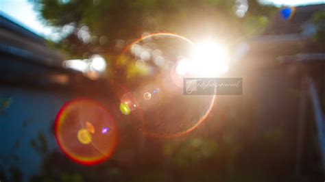 Lensa Langka Wide Manual Ring Flare Amazing Dari Mamiya Sekor Cs Mm