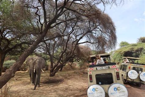 Da Arusha Escursione Di Un Giorno Al Parco Nazionale Del Lago Manyara