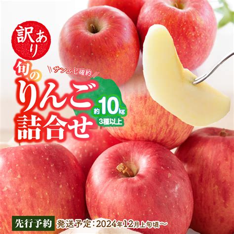 《先行予約》訳あり 旬のりんご詰合せ約10kg（サンふじ確約3種以上）【2024年12月上旬頃～発送予定】【大江町産・山形りんご・りんご専科