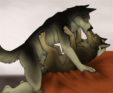 Rule 34 Anthro Anthro On Feral Canine Canine Feral Interspecies