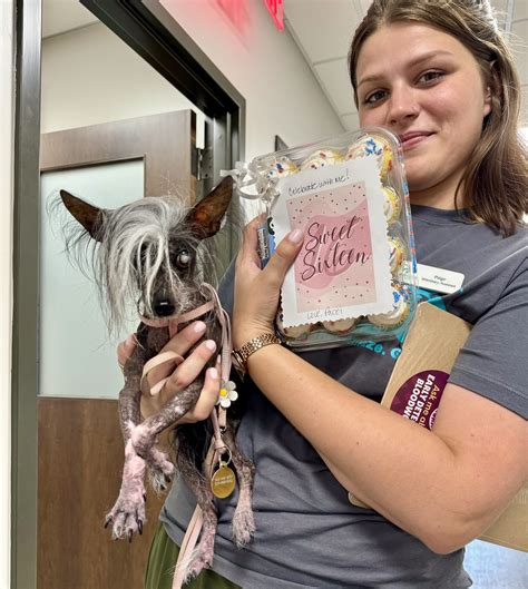 riverside animal shelter 3