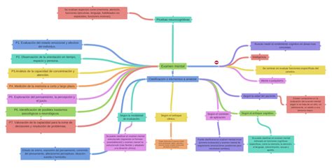 Examen Mental Coggle Diagram