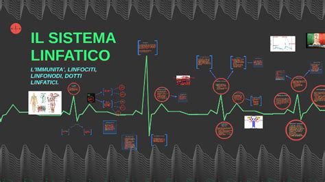 Il Sistema Linfatico By Eugenio Zerbini